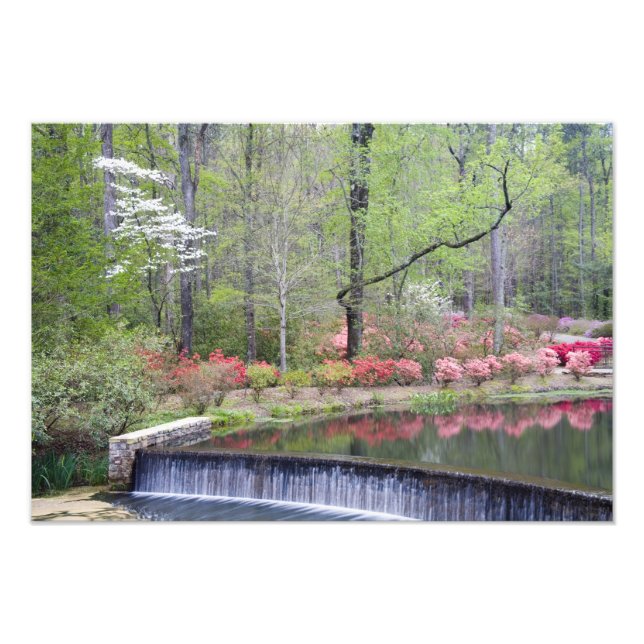 Foto EUA, Geórgia, Pine Mountain. Uma pequena cascata (Frente)