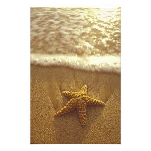 Foto EUA, Havaí, Maui, Maui, Kihei, Estrela-do-mar e