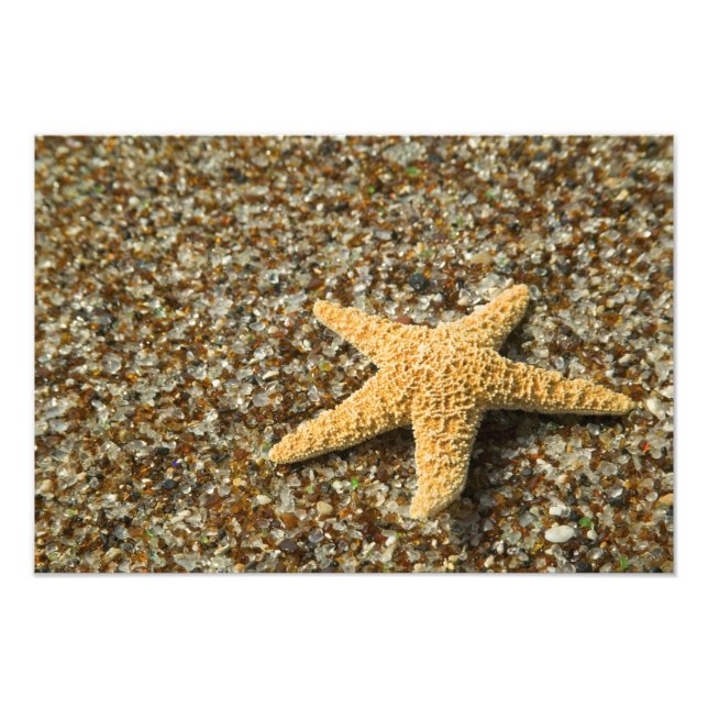 Foto EUA, HI, Kauai, Glass Beach com estrela-do-mar (Frente)