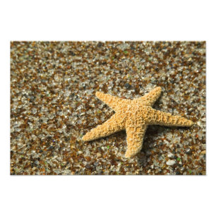 Foto EUA, HI, Kauai, Glass Beach com Star fish