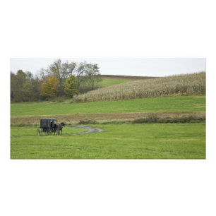 Foto EUA, nordeste de Ohio. Bugue Amish em fazenda