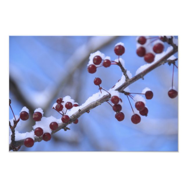 Foto EUA, Nova Inglaterra, Massachusetts, Reading, 3 (Frente)