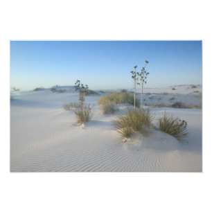 Foto EUA, Novo México, White Sands National 2