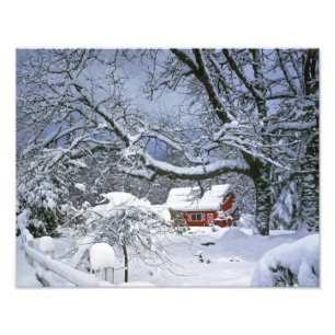 Foto EUA, Oregon, Condado de Clackamas. Neve fresca