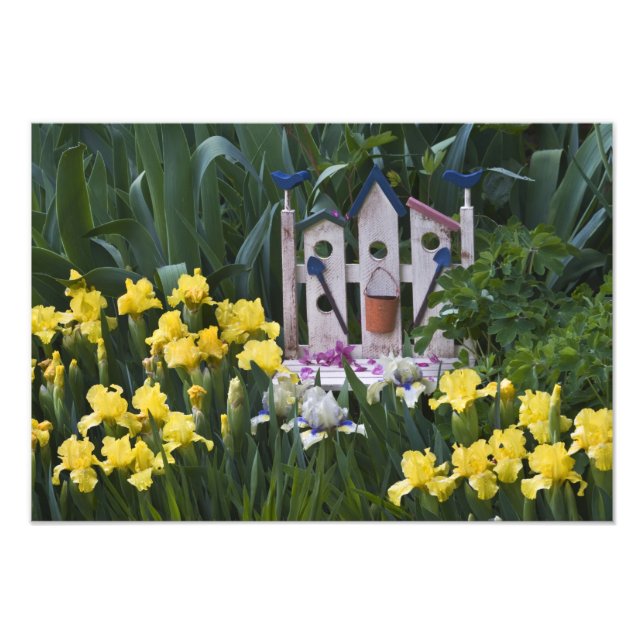 Foto EUA, Pensilvânia. Os irguetos do jardim crescem (Frente)