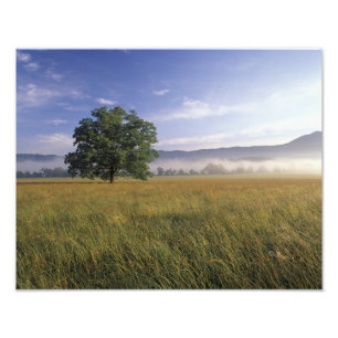Foto EUA, Tennessee. Grandes Montanhas Smokey 3