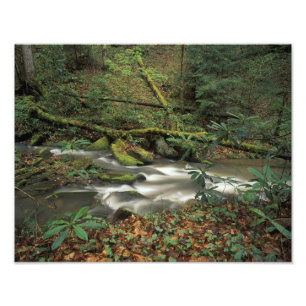 Foto EUA, Tennessee. Rio Nacional Big South Fork