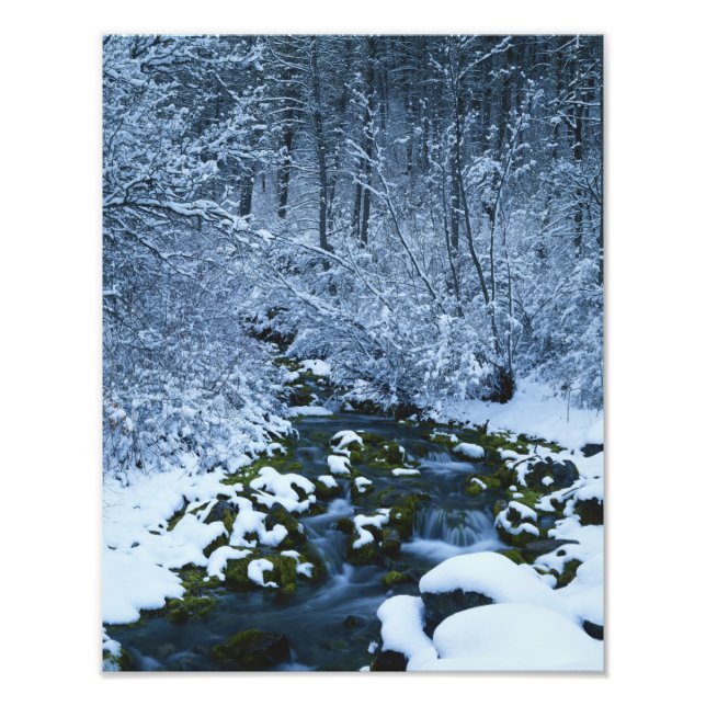 Foto EUA, Utah, Wasatch-Catch National Forest, (Frente)