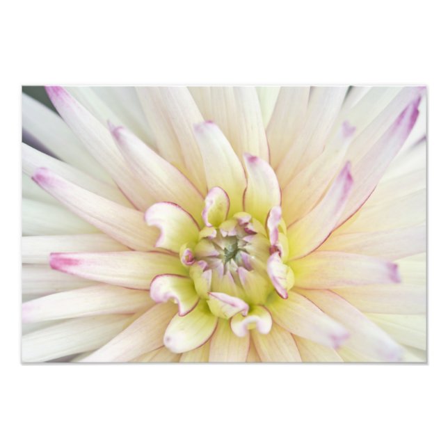 Foto EUA, Washington, Bellevue, Bellevue Botânico 2 (Frente)