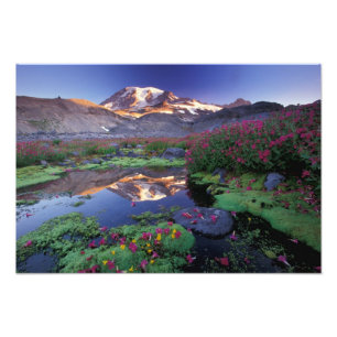 Foto EUA, Washington, Mt. Rainier NP, nascer do sol,