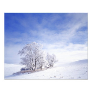 Foto EUA, Washington, Palouse Area, Fosco Black