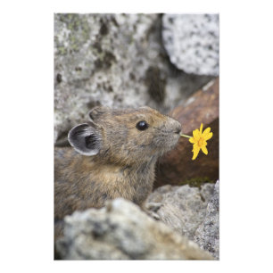 Foto EUA, Washington, Parque Nacional North Cascades,