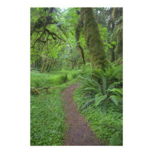 Foto EUA, Washington, Parque Nacional Olímpico,