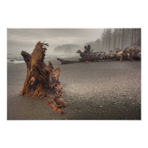 Foto EUA, Washington, Parque Nacional Olímpico, Rialto 