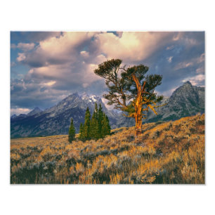 Foto EUA, Wyoming, Grand Teton NP. O nascer do sol cump