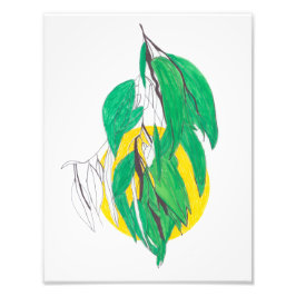 Foto Eucalyptus Leaf Print