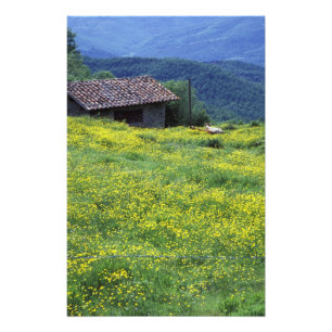 Foto Europa, Itália, Toscana, Siena, Chianti.