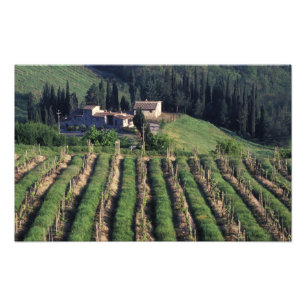 Foto Europa, Itália, Toscana. Vila cênica chipre.