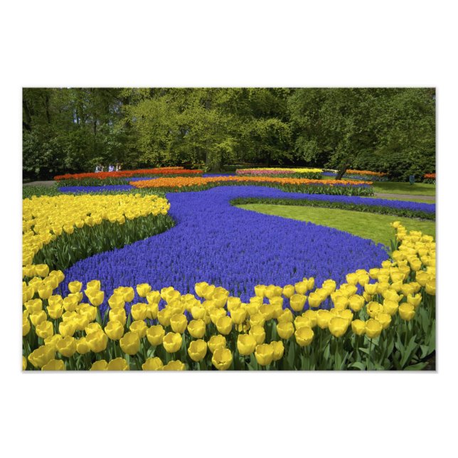 Foto Europa, Países Baixos, Holanda, Lisse, Keukenhof (Frente)
