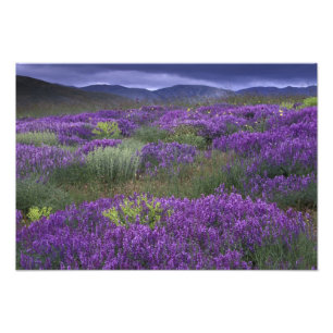 Foto Europa, Turquia, Capadócia. Paisagem rural 2