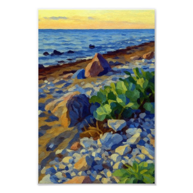 Foto Evening light on the coast of Vormsi (Frente)