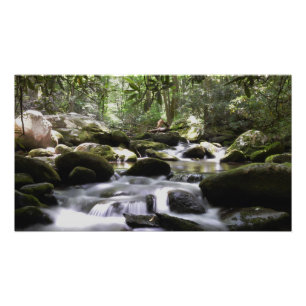 Foto Excelente Enfumaçado Montanha Fluindo Fluxo de Mo