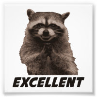 Excelente Mau Plotting Raccoon