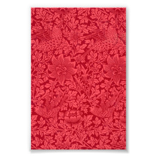 Foto Exemplo de Bird, Anemone Wallpaper de Morris