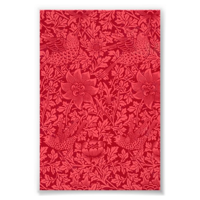 Foto Exemplo de Bird, Anemone Wallpaper de Morris (Frente)