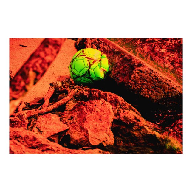 Foto explorador de mosquitos (Frente)