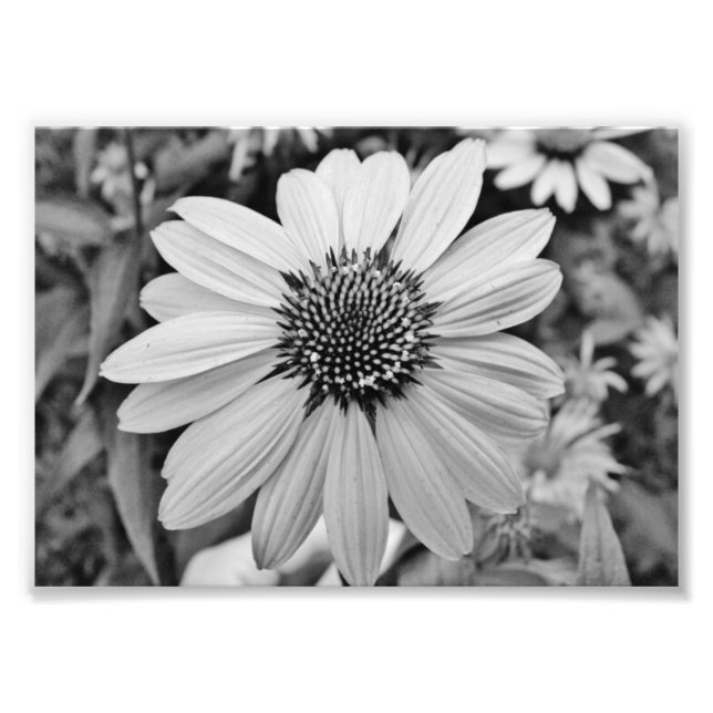 Foto Expressões 5x7 Impressão fotográfico (Frente)