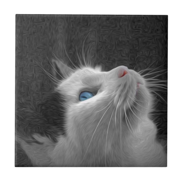Foto Eyed azul do gato (Frente)