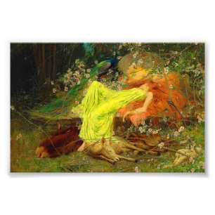 Foto Fada — Arthur Wardle