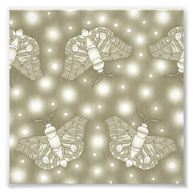 Foto Fairy Moths (Frente)