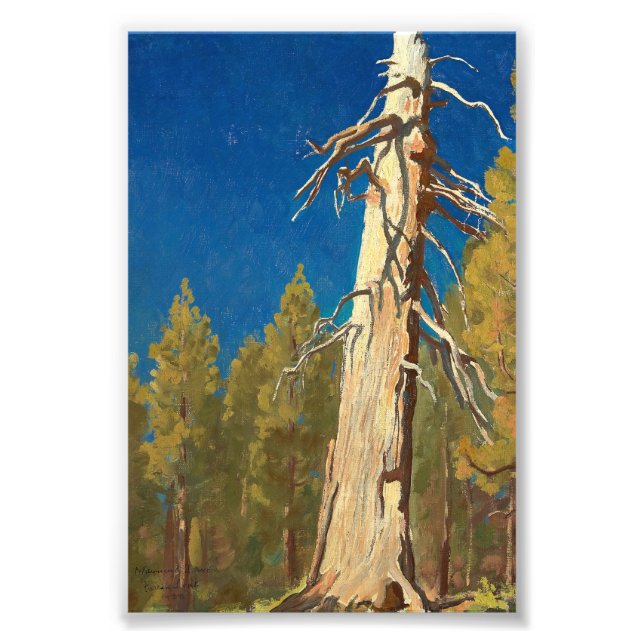 Foto Fallen Leaf por Maynard Dixon (Frente)