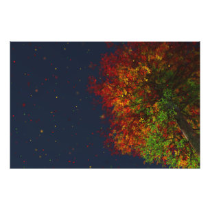 Foto Falling Rainbow Photo Impressão