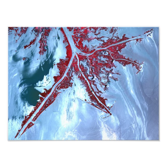 Foto Falsa cor satélite (Frente)