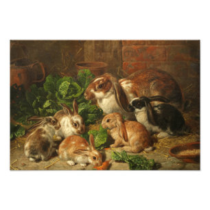 Foto Família de coelhos de Alfred Richardson Barber