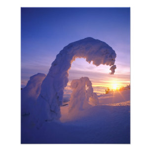 Foto Fantasmas de neve na Cordilheira Whitefish de Mont