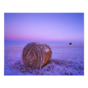 Foto Fardos de Palha de Inverno perto de Cartwright Nor