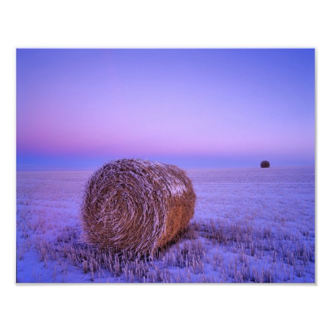Foto Fardos de Palha de Inverno perto de Cartwright Nor (Frente)
