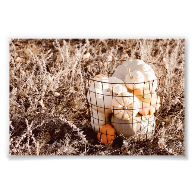 Foto Farmhouse Pumpkin Harvest Basket (Frente)