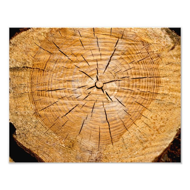 Foto Fatia da Vida (Frente)