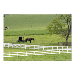 Foto Fazenda Amish com cavalo e carruagem perto de Berl