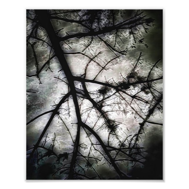 Foto Fechando em (Frente)