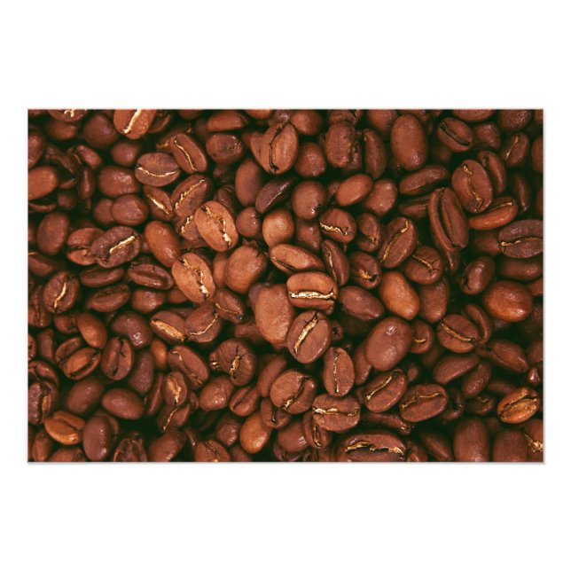 Foto Feijão (Frente)