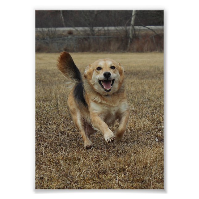 Foto Felicidade (Frente)