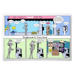 Foto Felino Forma-Dianteiro