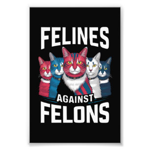 Foto Felinos Contra Criminosos