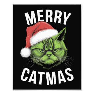 Foto Feliz Catmas Engraçado Gato Adora Natal